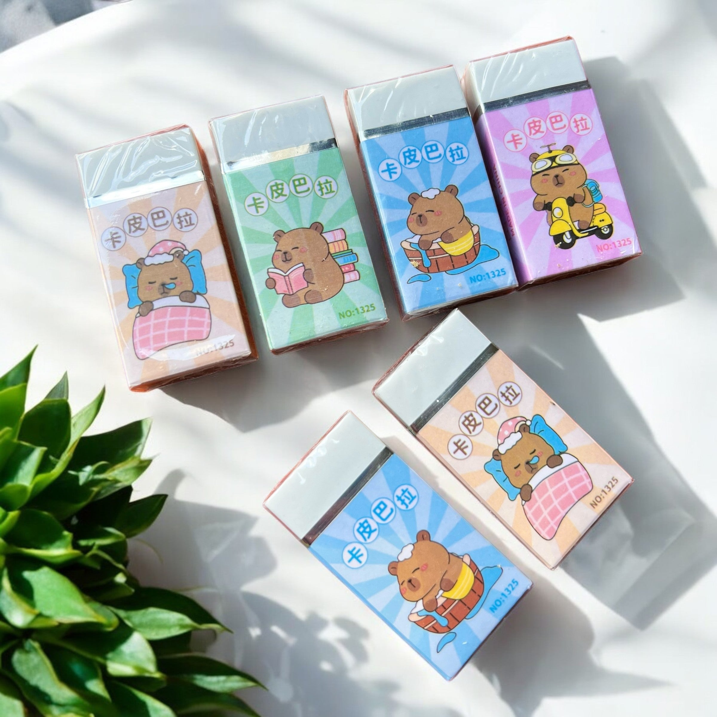 Borrador en Barra Capybara