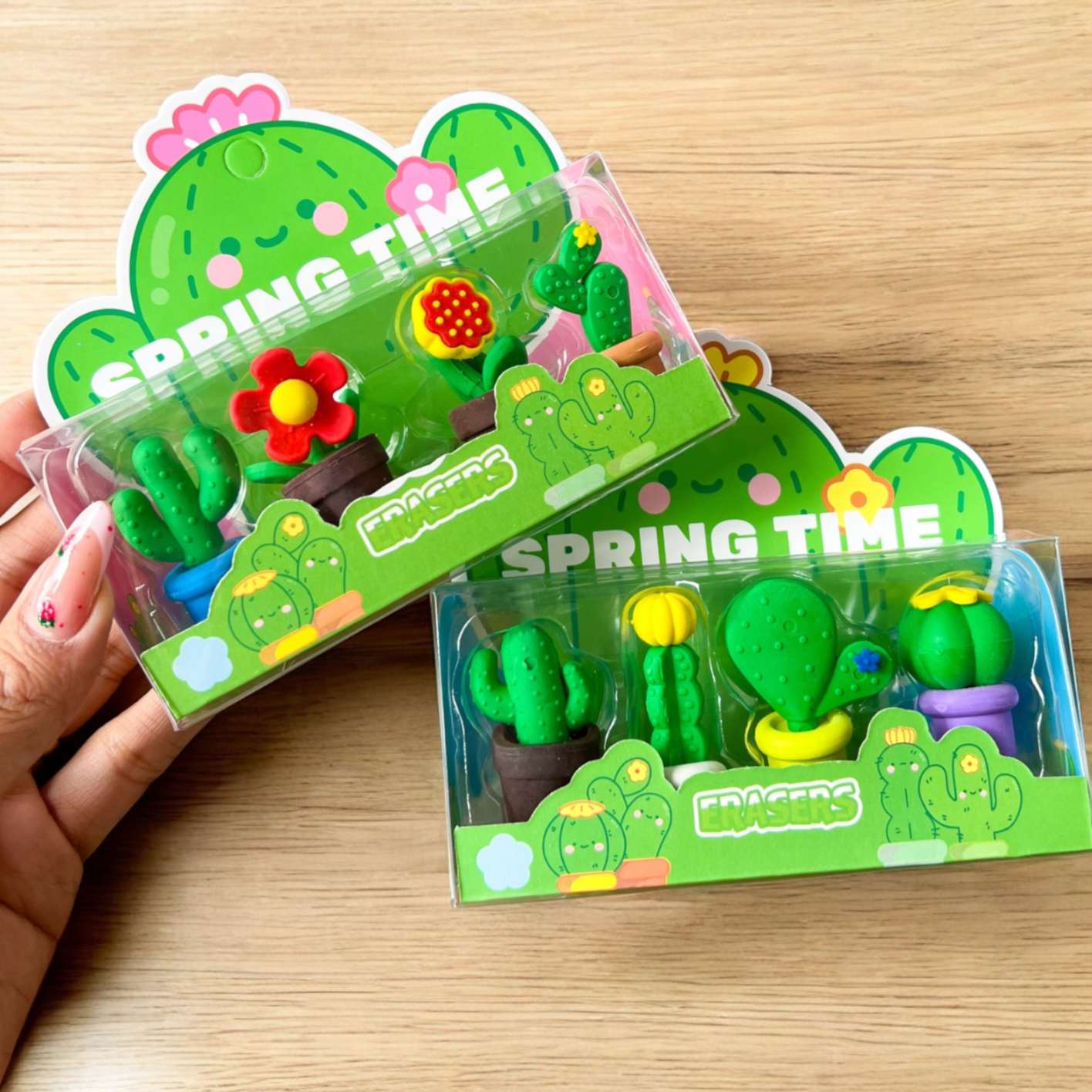 Borradores Cactus x4