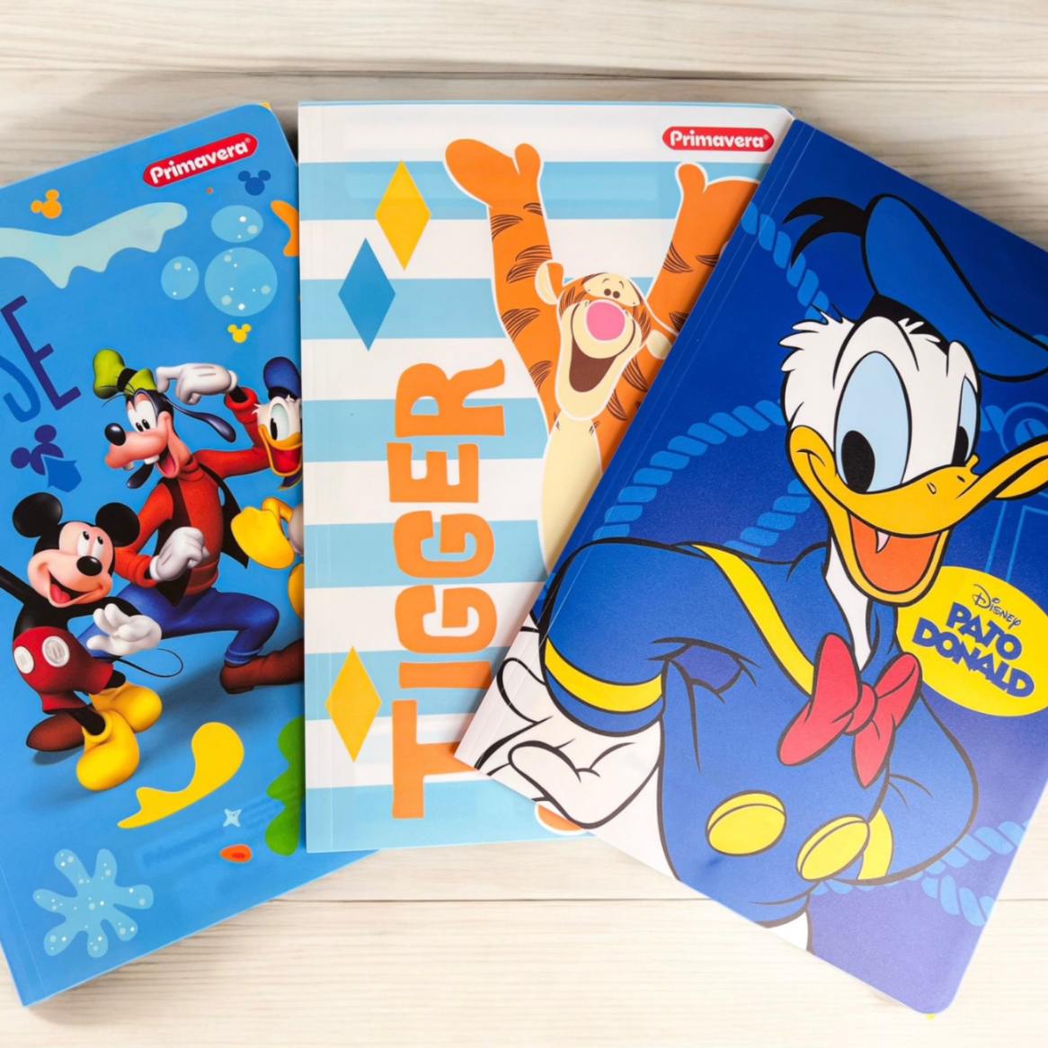 Carpeta Plástica con Liga Niño