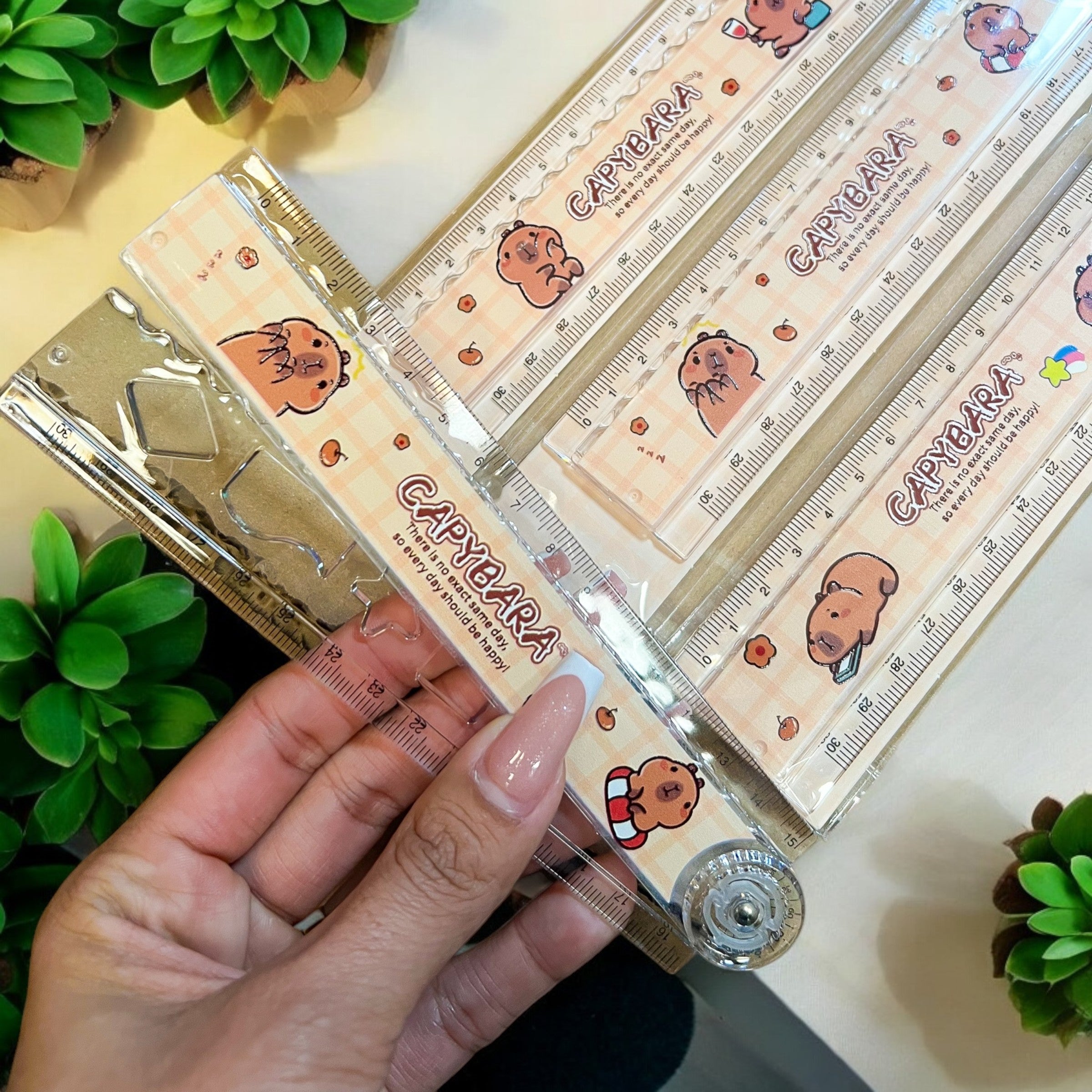 Regla Expandible Capybara