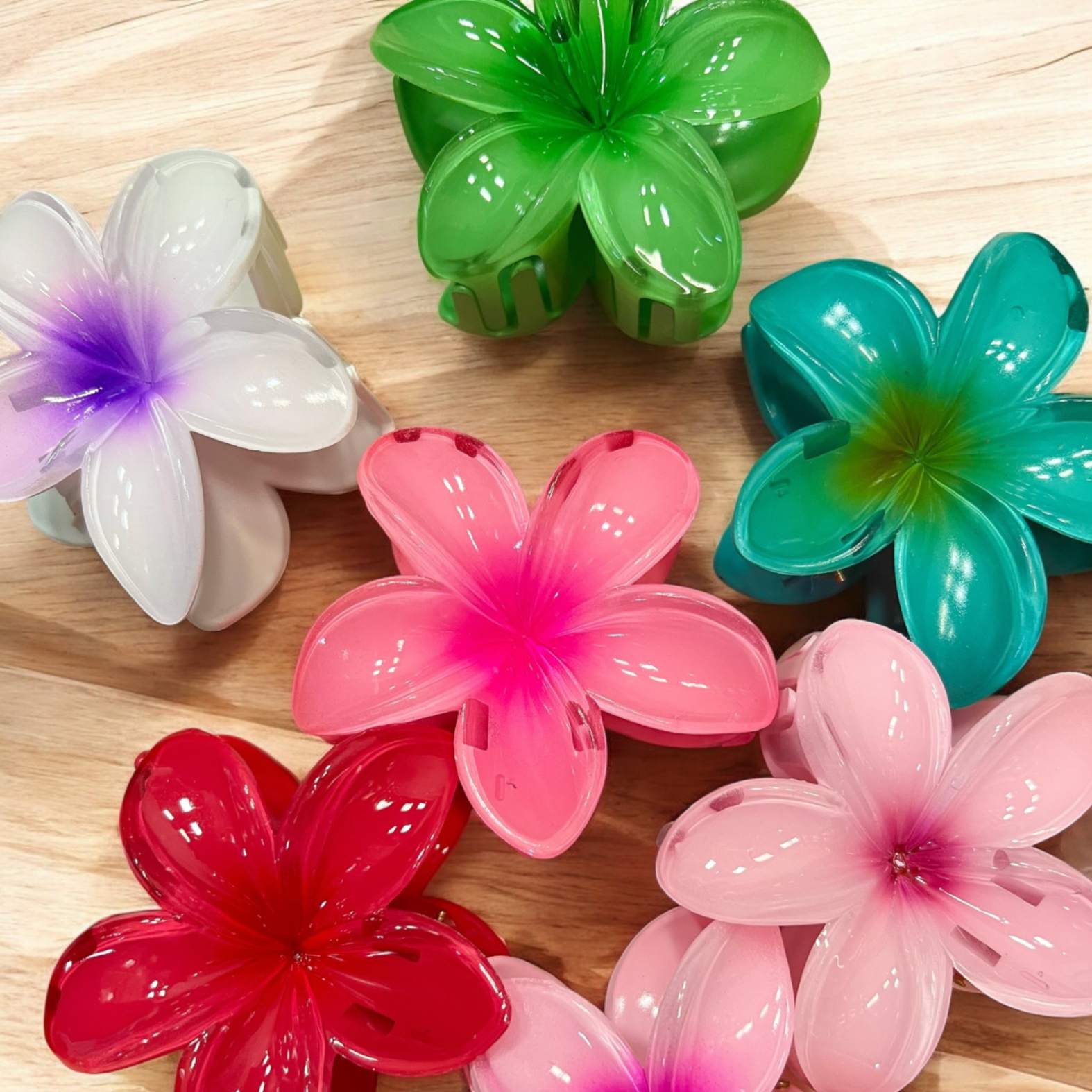 Caimanes Flor de Colores
